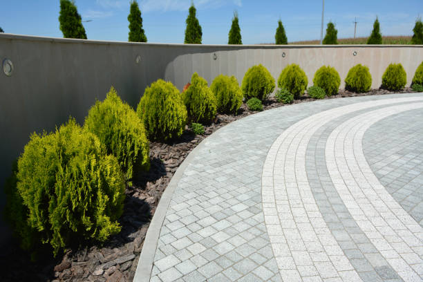 Best Custom Driveway Pavers  in Cave City, AR