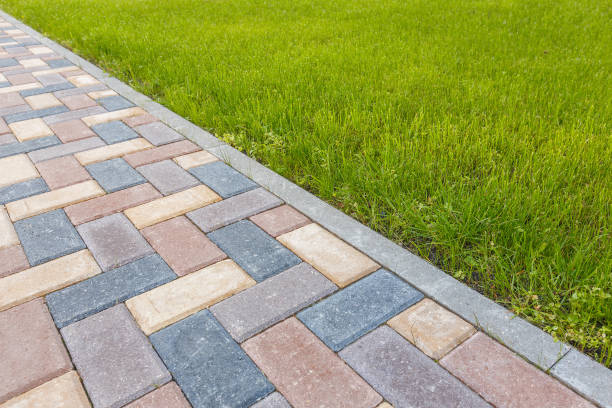 Best Driveway Pavers Near Me  in Cave City, AR